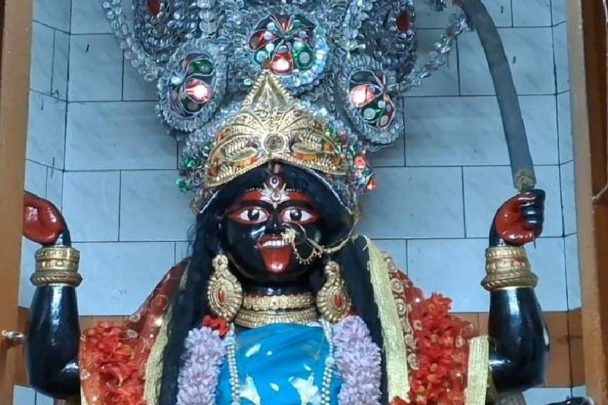 ডাকাতি করতে যাওয়ার আগে কালী পুজো করতেন রঘু ডাকাত, বিধু ডাকাত, আজও অমলিন সেই পুজো, কোথায় হয় জানেন?