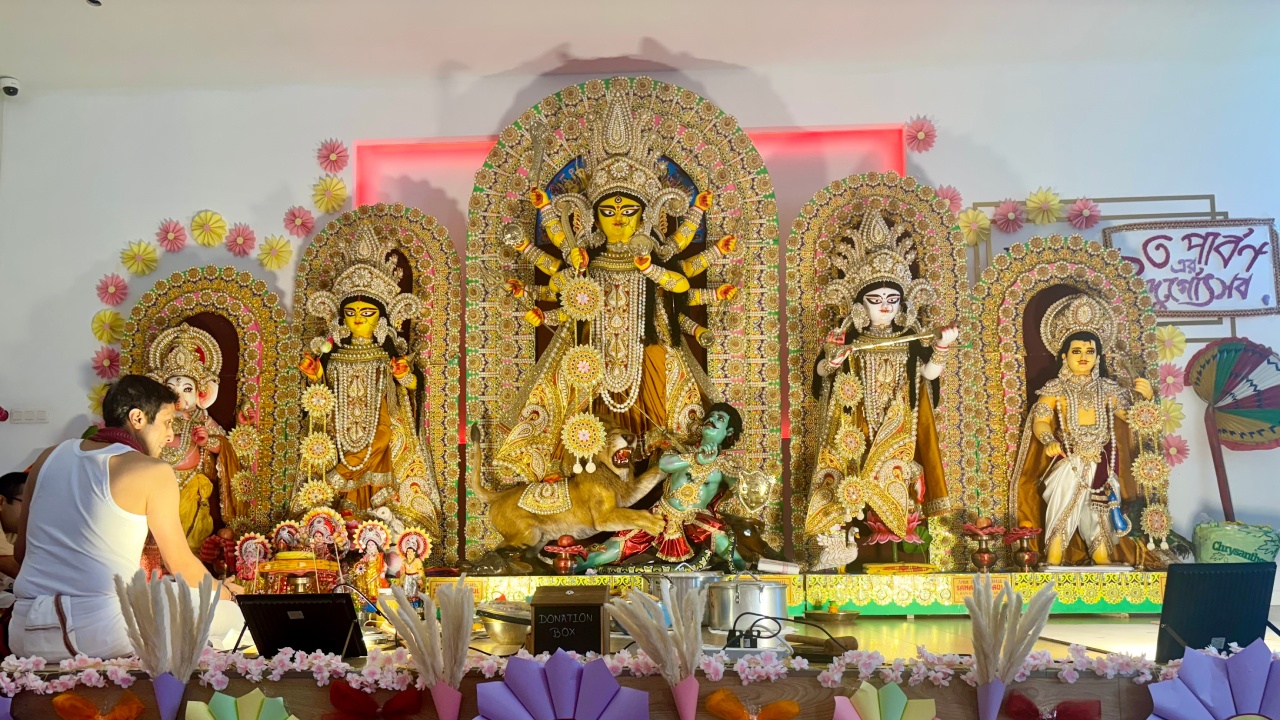 PUJO