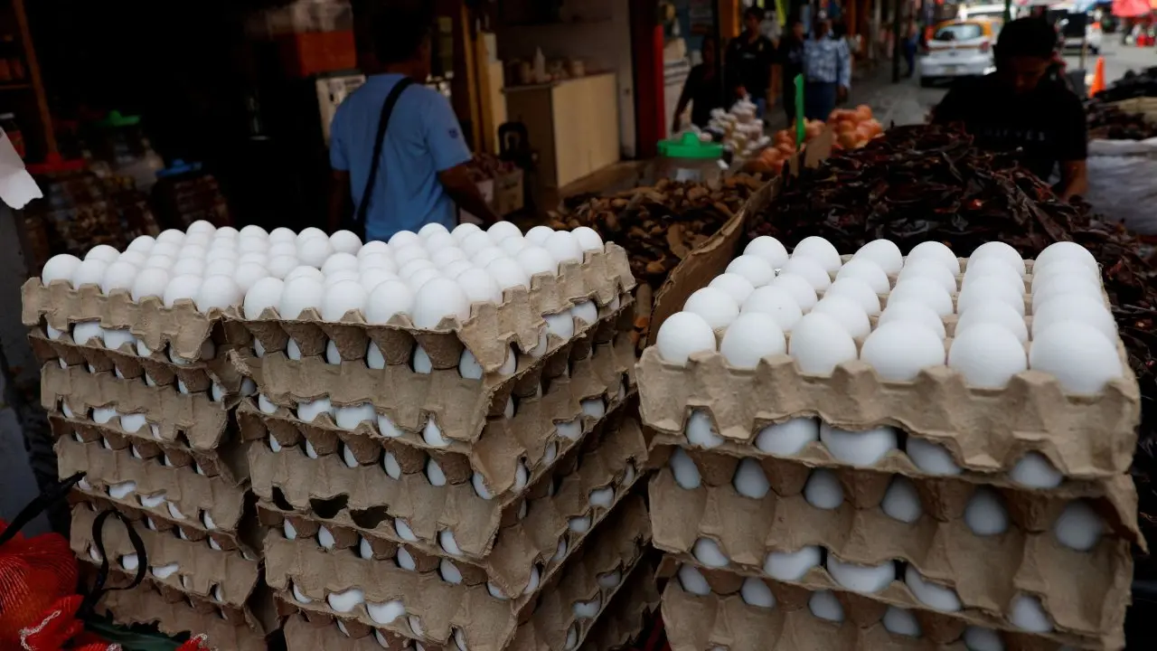 ভারত-বাংলাদেশ সম্পর্ক ও রাজনীতি preview